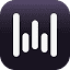 Wispr Flow icon